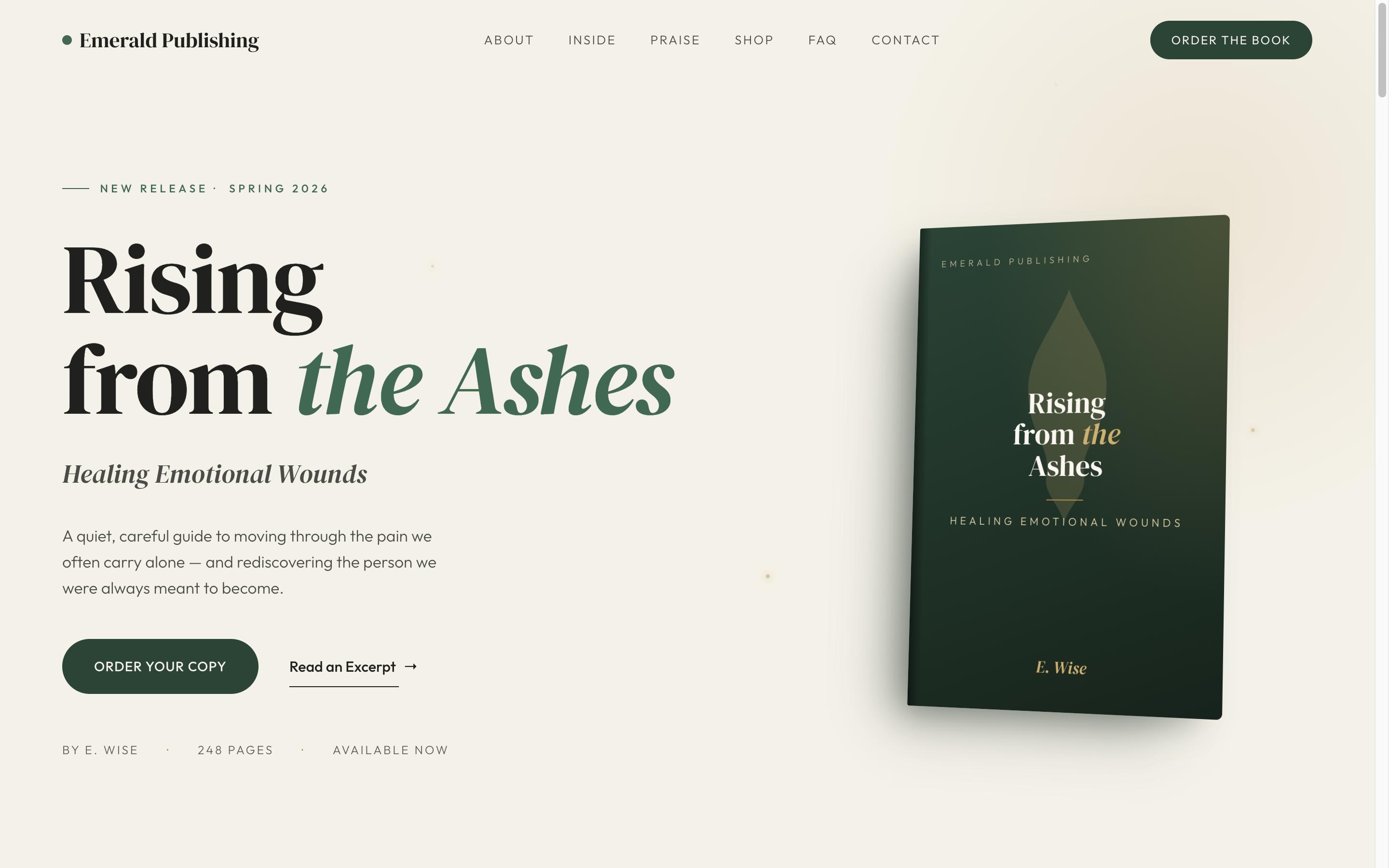 Screenshot of Rising from the Ashes — Book Launch Site